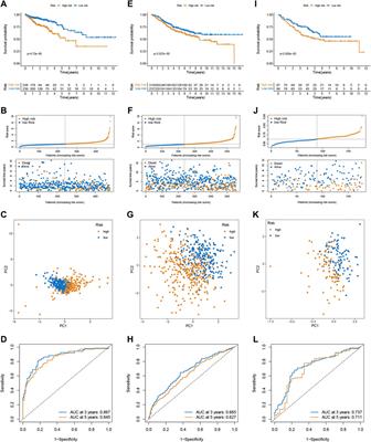 Exploring the Relationship Between Senescence and Colorectal Cancer in Prognosis, Immunity, and Treatment